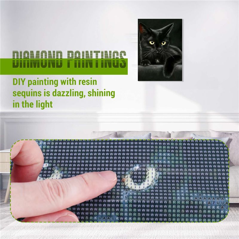 A84X-Tiermotiv Schwarze Katze  – Embroidery Cat Bewertung und Preis