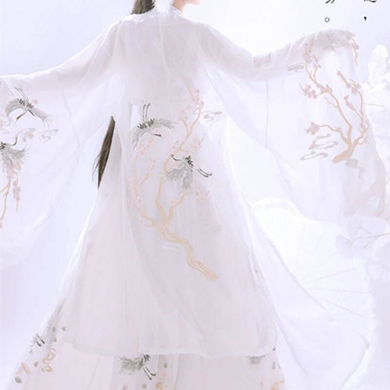 Chinesische alte Hanfu Damen S – Embroidery Skirt Bewertung und Preis
