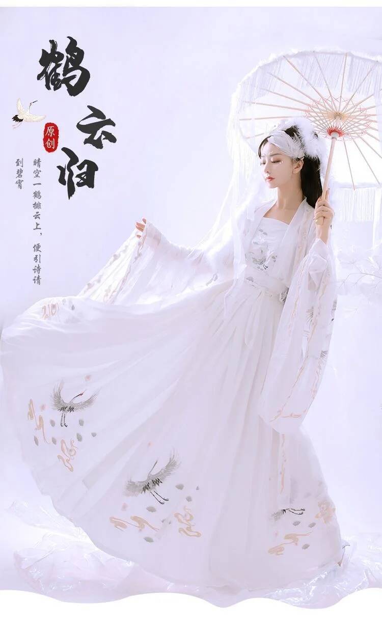 Chinesische alte Hanfu Damen S – Embroidery Skirt Bewertung und Preis