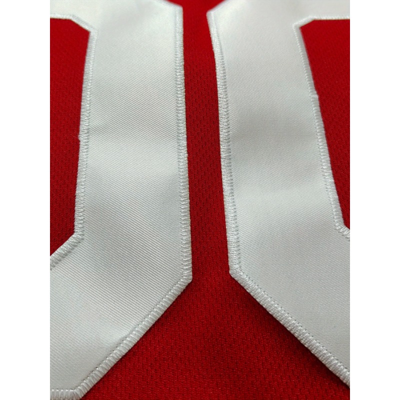 Basketball-Trikot mit individu – Embroidery Jersey Bewertung und Preis